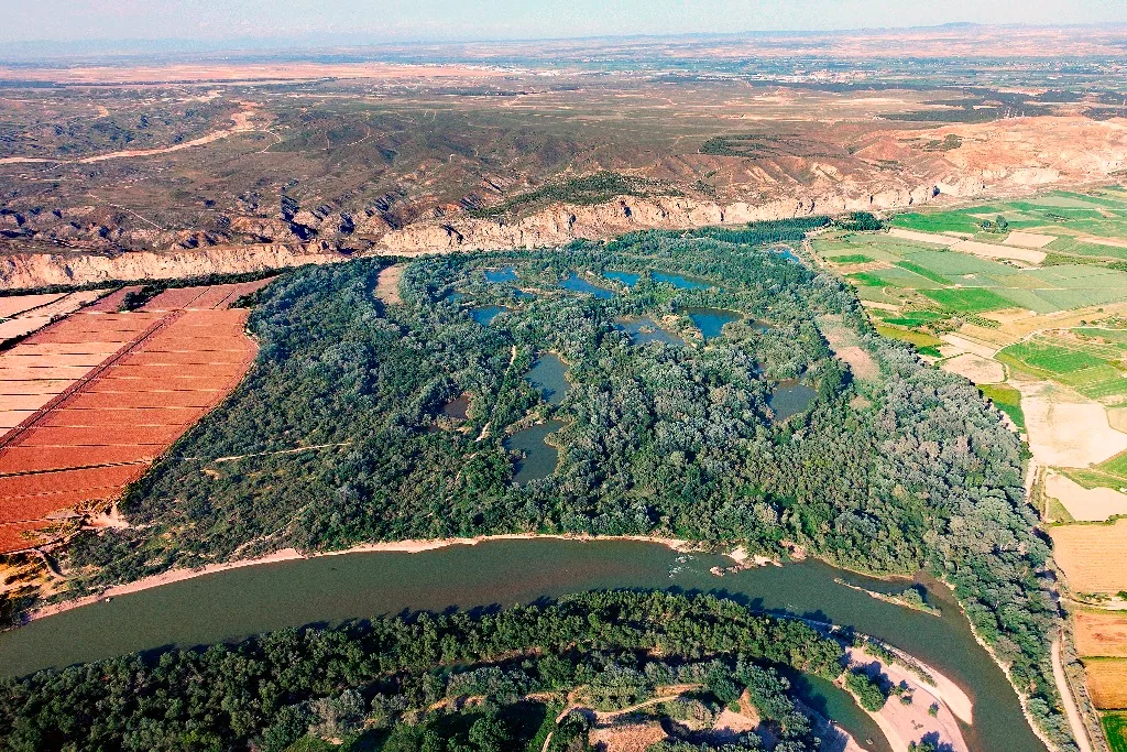 Laguna y vegetación del Galacho de Juslibol