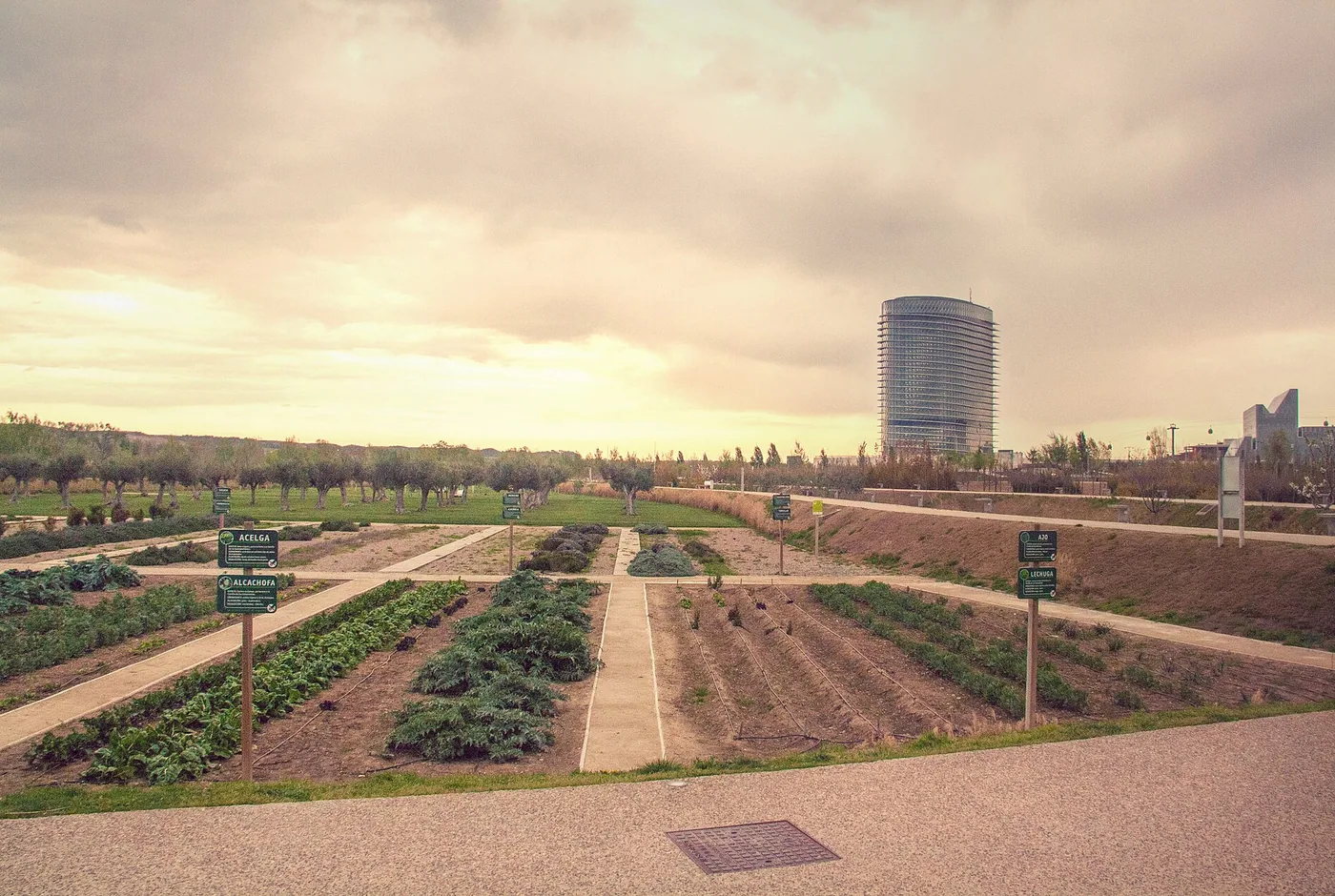 Canales y vegetación del Parque del Agua Luis Buñuel