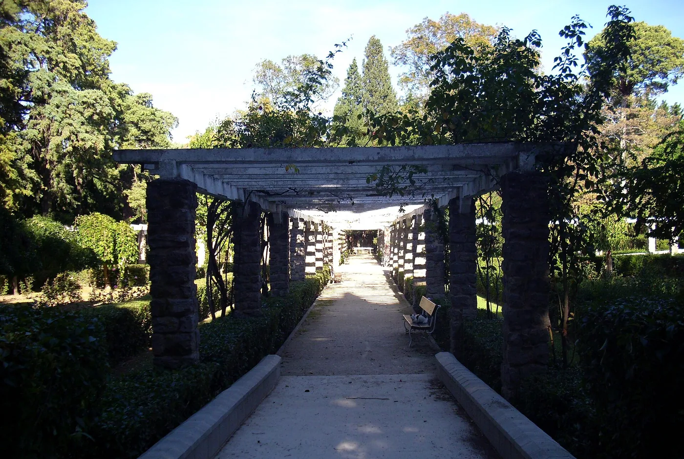 Paseo arbolado del Parque Grande José Antonio Labordeta